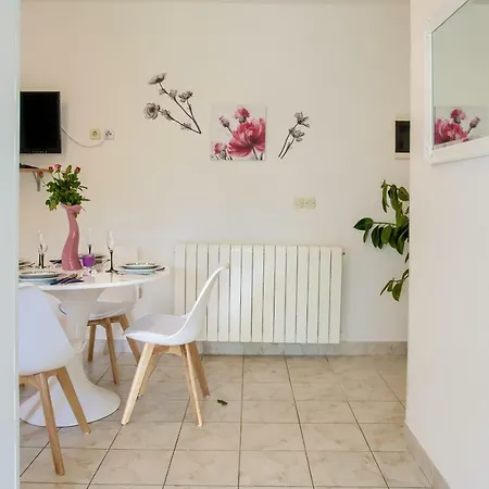 Paola Apartment Pula