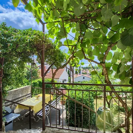 Apartment Paola *